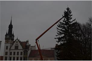 Vánoční strom se rozsvítí v sobotu 1. prosince